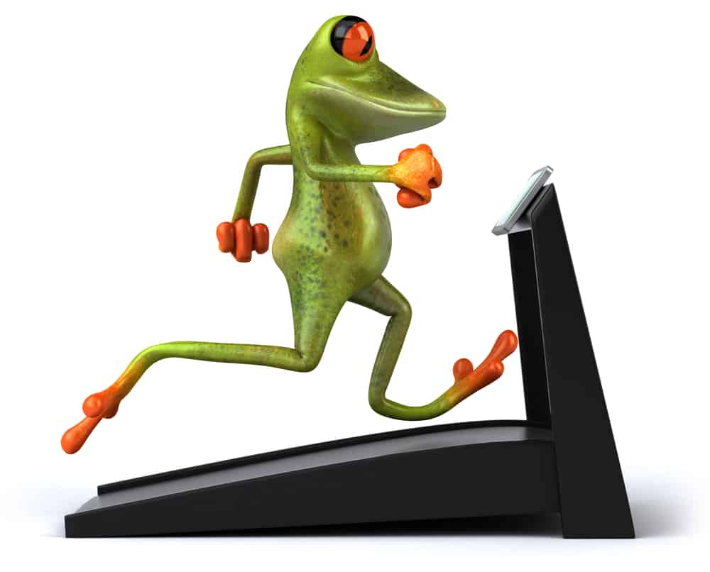 green gyms to join