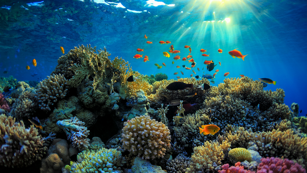 7 NATURAL WONDERS OF THE WORLD