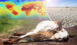 TIMELINE OF MASS EXTINCTION EVENTS ON EARTH