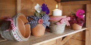 plant pots debbie shore