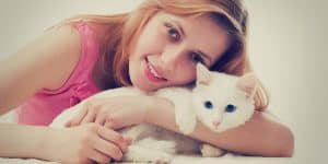 amazing facts about cats