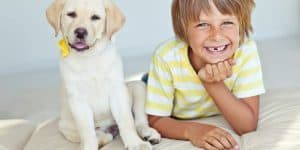 facts about dogs