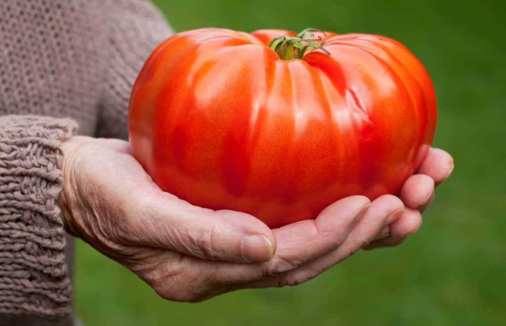 Wee is Good Nourishment for Superfoods superfood plant pee