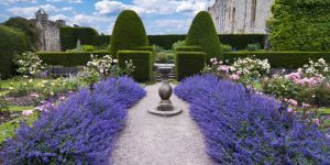 Plas Brondanw