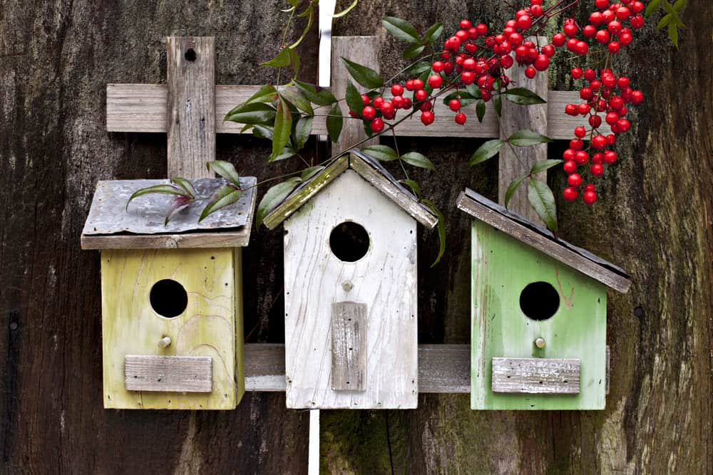 how to make a nest box